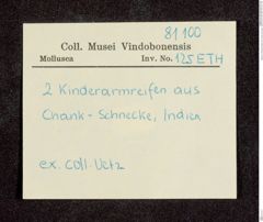 Etikett zu Kinderarmreifen aus Chank-schnecke  (NHMW-ZOO-MO-0081100-ETH-125)